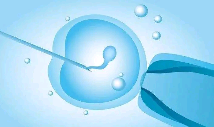 (a)代孕服务机构,怀孕前的准备：孕前检查9大项