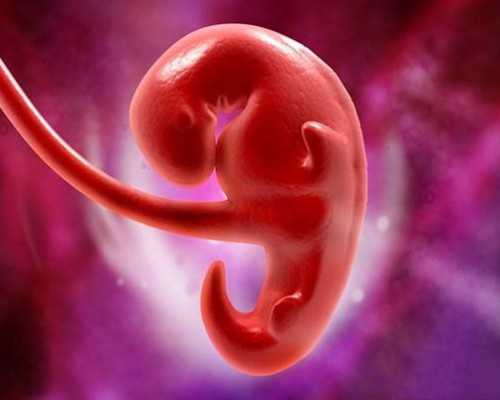 (a)有代孕生子的吗,孕前检查后能备孕吗
