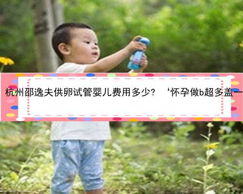 杭州有几家试管代怀 杭州邵逸夫供卵试管婴儿费用多少? ‘怀孕做b超多盖一处