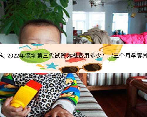 深圳有做代孕的机构 2022年深圳第三代试管大概费用多少? ‘三个月孕囊掉下来