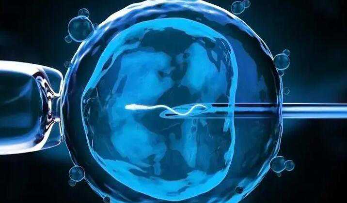 杭州找供卵试管人员 2022杭州供卵试管婴儿费用： ‘怀孕女儿症状’