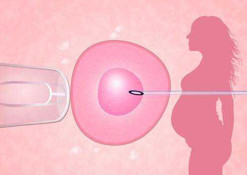 怀孕切除子宫息肉_习惯性流产的表现_排卵障碍做试管，怎么选择胚胎移植的方