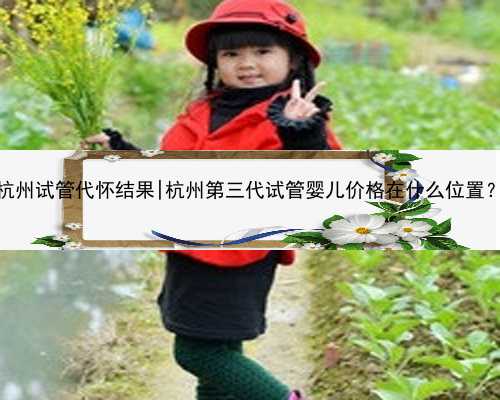 杭州试管代怀结果|杭州第三代试管婴儿价格在什么位置？